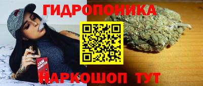 крисы Нарткала